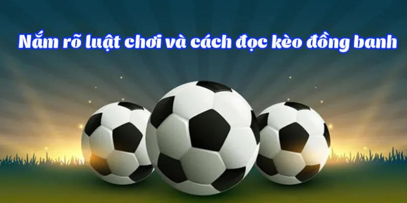 Nắm rõ luật chơi và cách đọc kèo